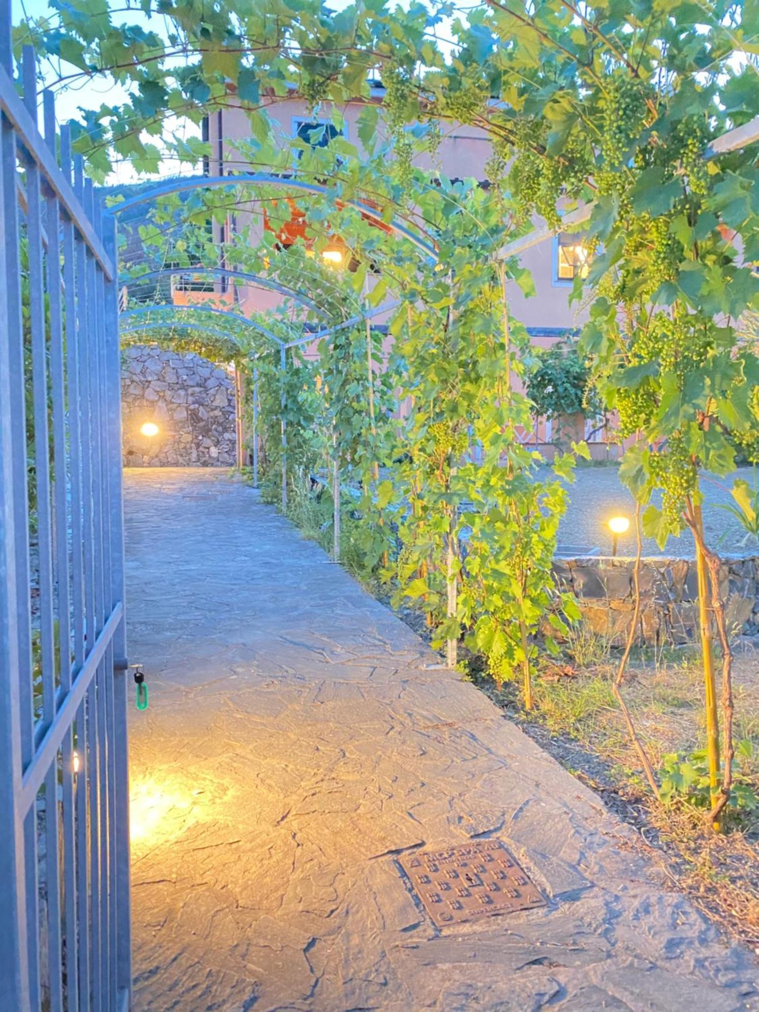 Villa Arancia Quiet, Central, Parking And Air Conditioning レヴァント エクステリア 写真
